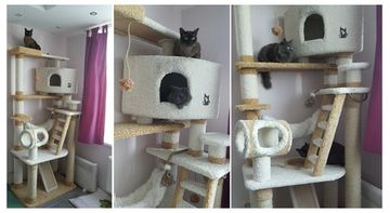 Дом для кота К-16