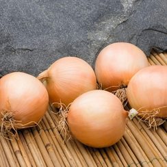 Дерби F1 семена лука репчатого (Bejo / Бейо)