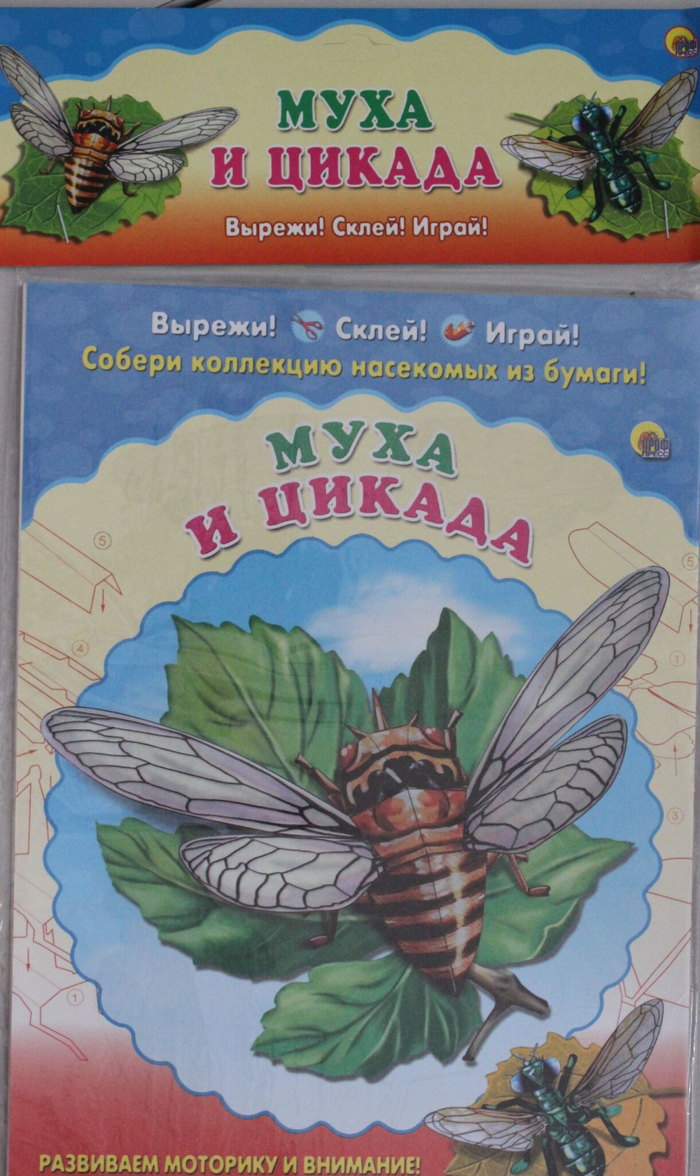 СОБЕРИ КОЛЛЕКЦИЮ НАСЕКОМЫХ. МУХА. ЦИКАДА