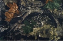 Ткань уличная-тентовая Prival Oxford 600 PU 1000, 230г/м2, камуфляж C42, 1.5х1м