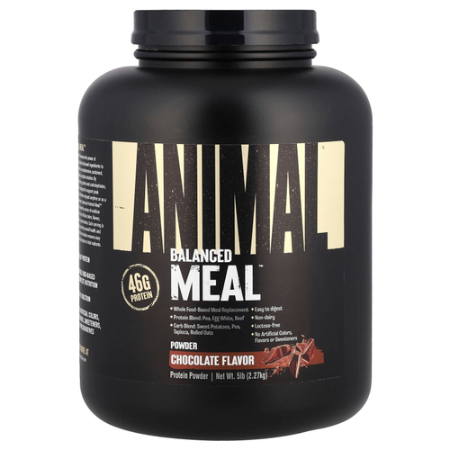 Animal, Balanced Meal ™, протеиновый порошок, шоколад, 2,27 кг (5 фунтов)