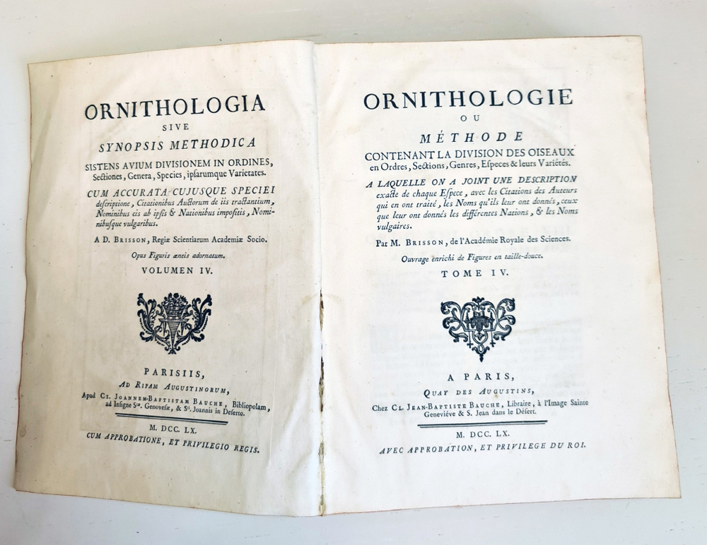"Орнитология или метод, содержащий разделение птиц на отряды. (Ornithologie ou methode contenant la division des oiseaux en ordres)". Mathurin-Jacques Brisson (Матюрен-Жак Бриссон). 0г.