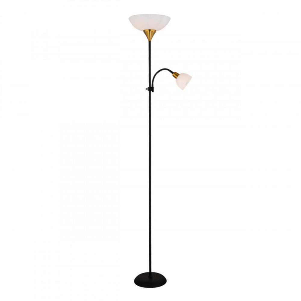 Торшер Arte Lamp A9569PN-2BK
