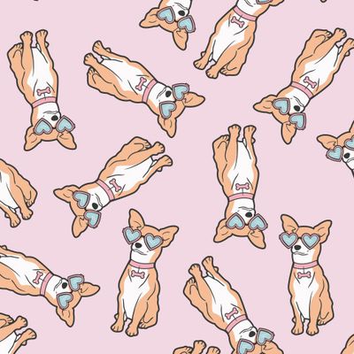 рыжие собачки на розовом