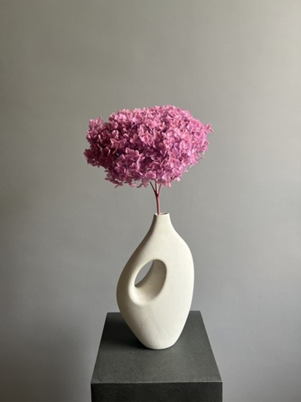 Гортензия стабилизированная лиловая