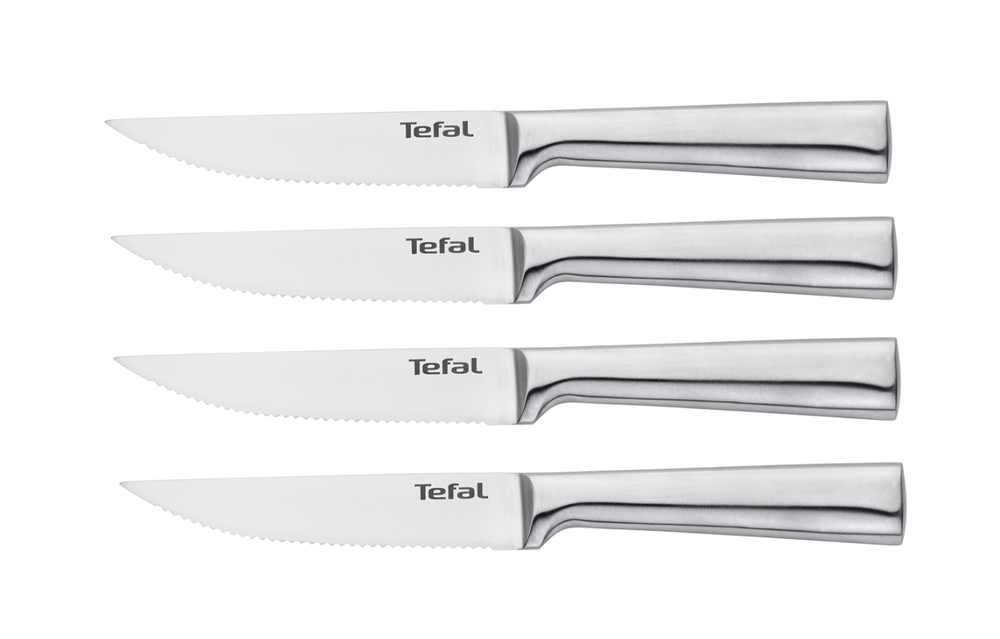 Набор ножей для стейка Tefal Expertise 4 предмета K121S414