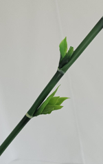 Комплект стебли бамбука 2 штуки / Арт 3080