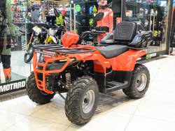 Квадроцикл IRBIS ATV250 красный (ПСМ) + кофр GKA (TESSERACT)