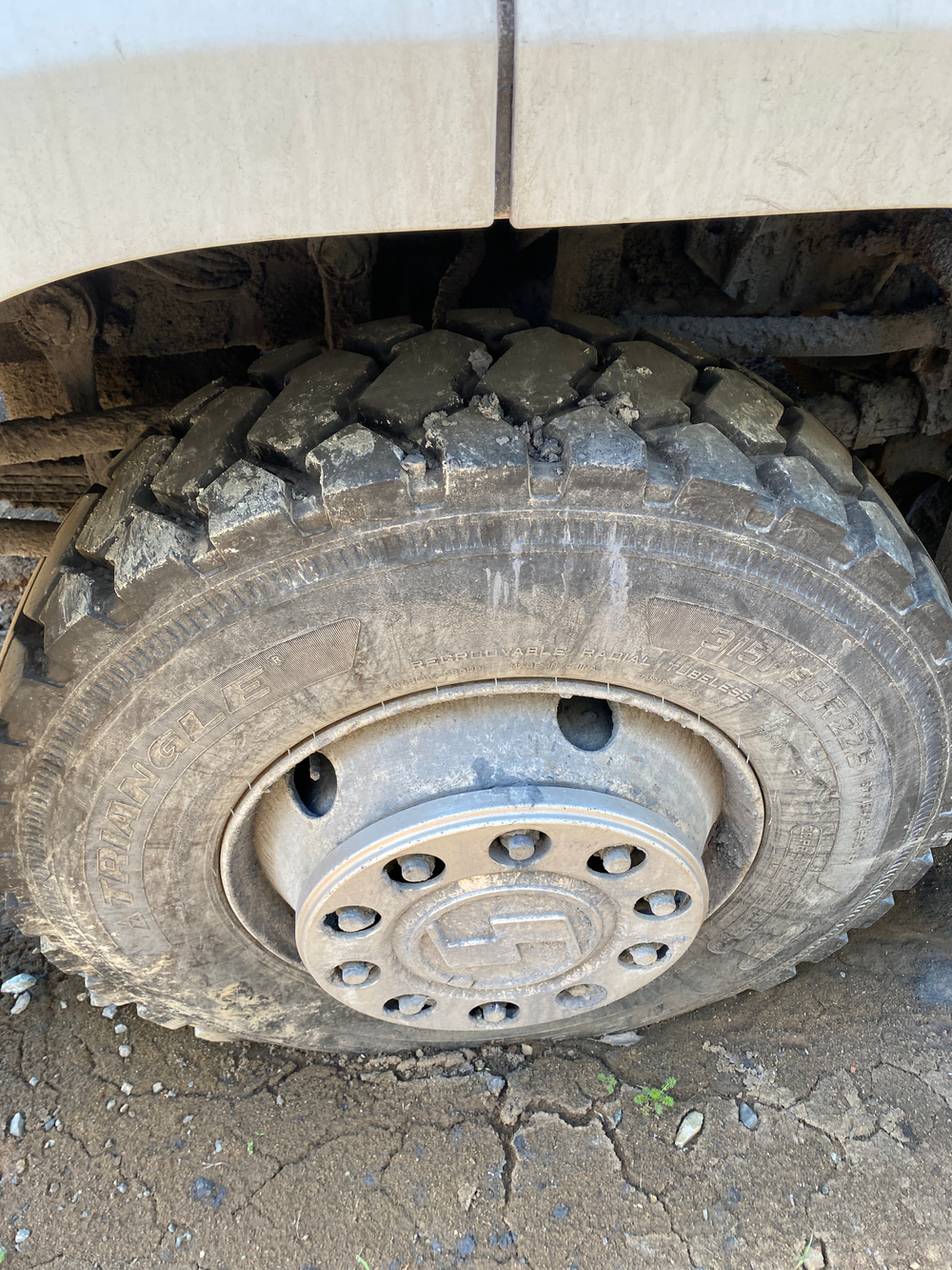 Shacman (Shaanxi) SX* 8x4 Самосвал SX331863366 (Дизельный, 12,5 л, 544 л.с., МТ)