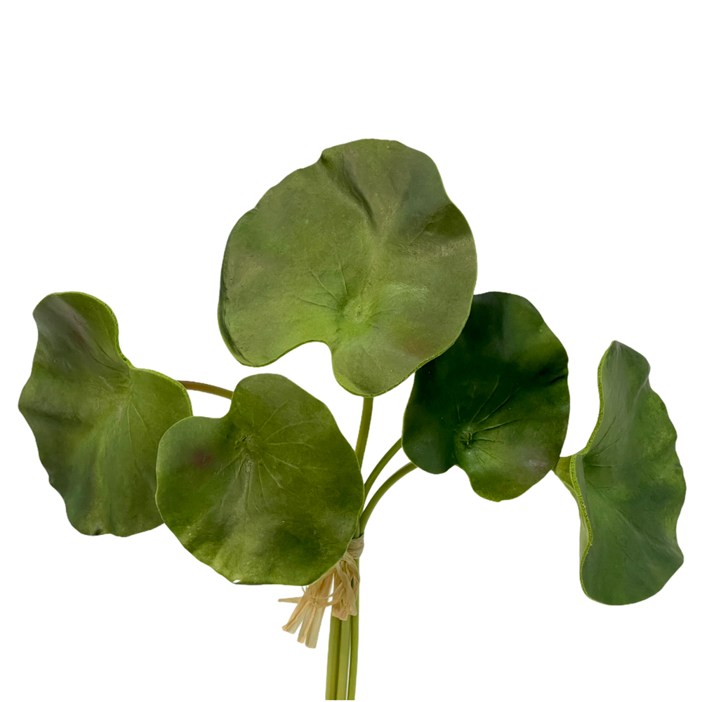 Лотос листья 5 шт