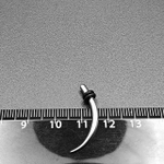 Растяжка "Клык". Диаметр 2,5 мм