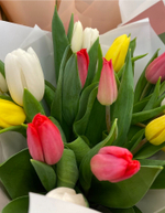 Букет из 15 белых, жёлтых и розовых тюльпанов