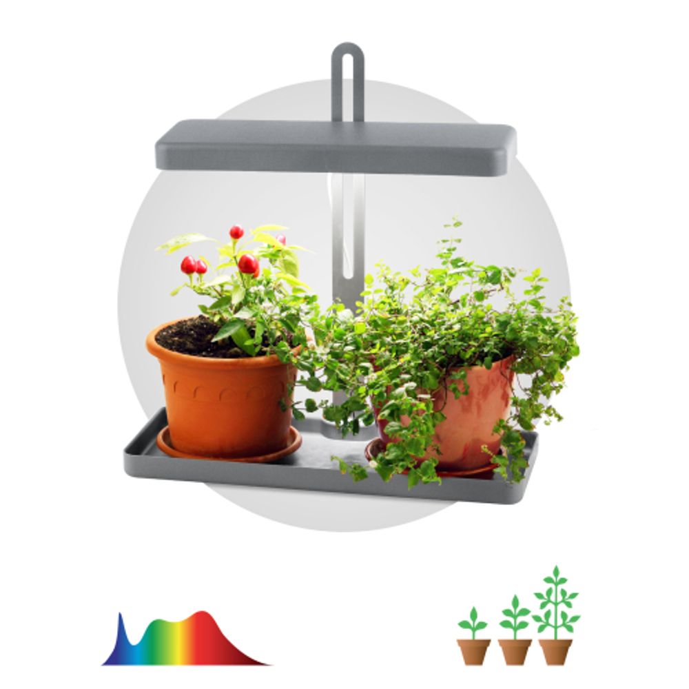 Настольный светильник для растений ЭРА FITO-20W-QLED-G полного спектра 20 Вт серый | Интерьерные фито светильники