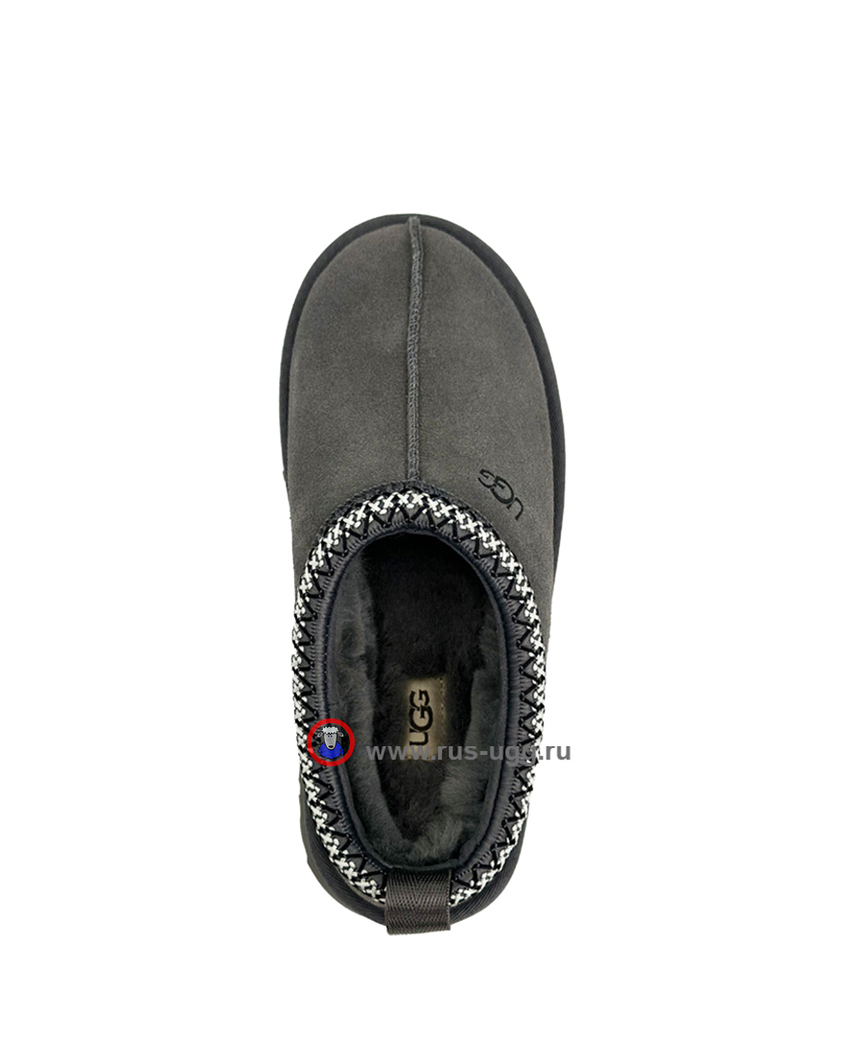 TAZZ Grey