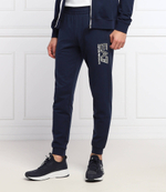 спортивные штаны EA7 - темно-синий(3LPP72 PJ05Z)