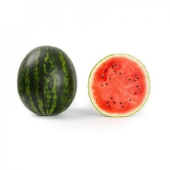 Кэрролл F1 семена арбуза (Rijk Zwaan / Райк Цваан)