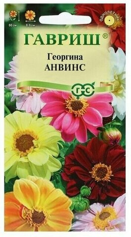 Георгина Анвинс