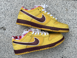 Nike SB Dunk Low 313170-137566