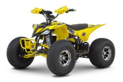 Квадроцикл YACOTA E-SPORT 3000W LD
