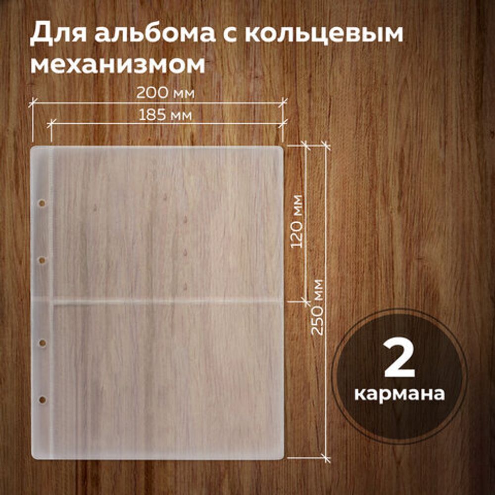 Листы-вкладыши для альбома "OPTIMA" на 2 боны (купюры), КОМПЛЕКТ 10 шт., 200х250 мм, ПВХ, STAFF, 238081