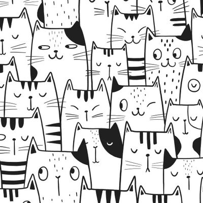 Котики