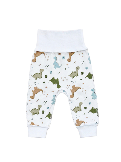 Штанишки Динозаврики (56,62)