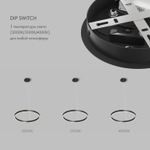 Светильник подвесной RAYDIA, 40 Вт, 3000–4000К, ?600?1500 мм, металл+акрил, черный, свет вверх/вниз