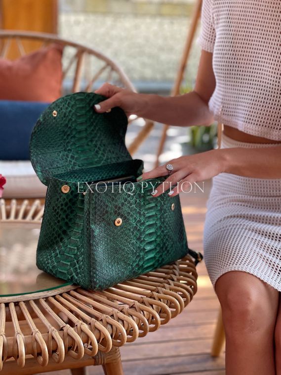 Сумка из кожи питона BG-469