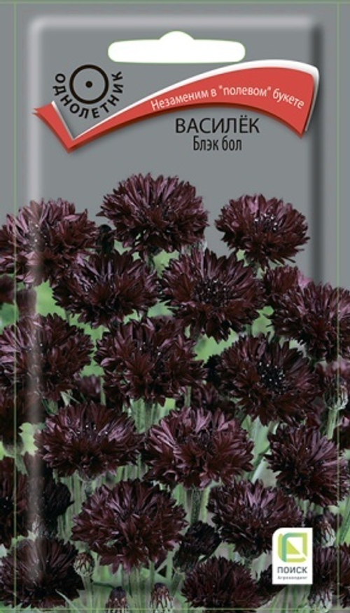 Василек  Блэк бол 1гр Поиск