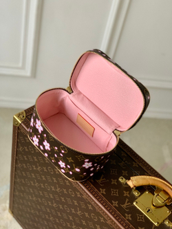 Louis Vuitton Nice Mini Toiletry Pouch
