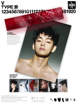 товары V - TYPE POSTER SET