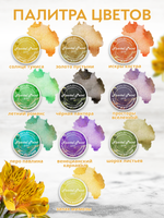 Набор сухих красок 20 цветов «Gold»