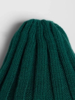 Шапка детская осенняя со снудом