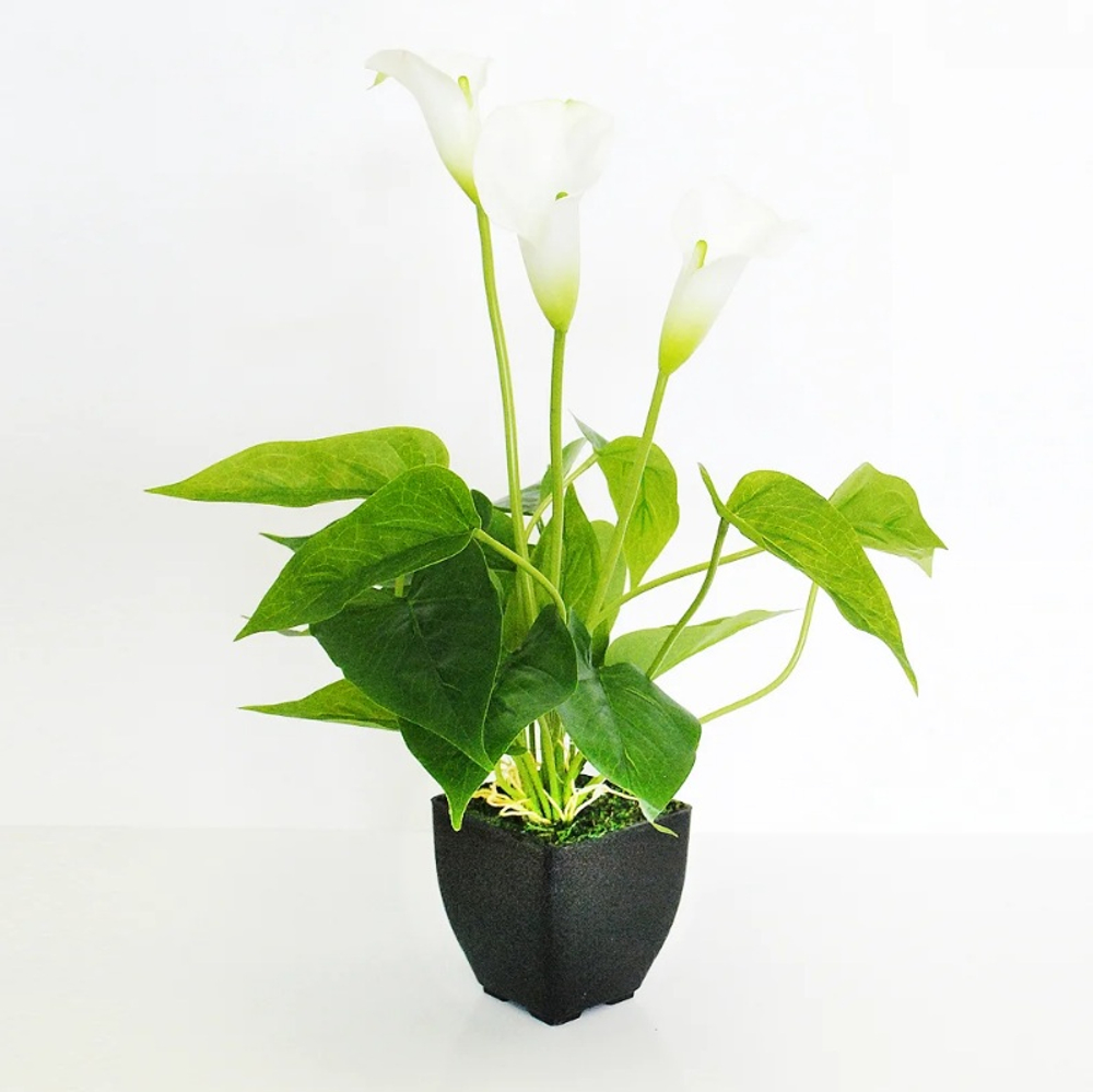 Цветок иск.Каллы в кашпо белый 42см