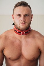 Красно-чёрный кожаный ошейник увеличенного размера (Цвет: красный с черным)