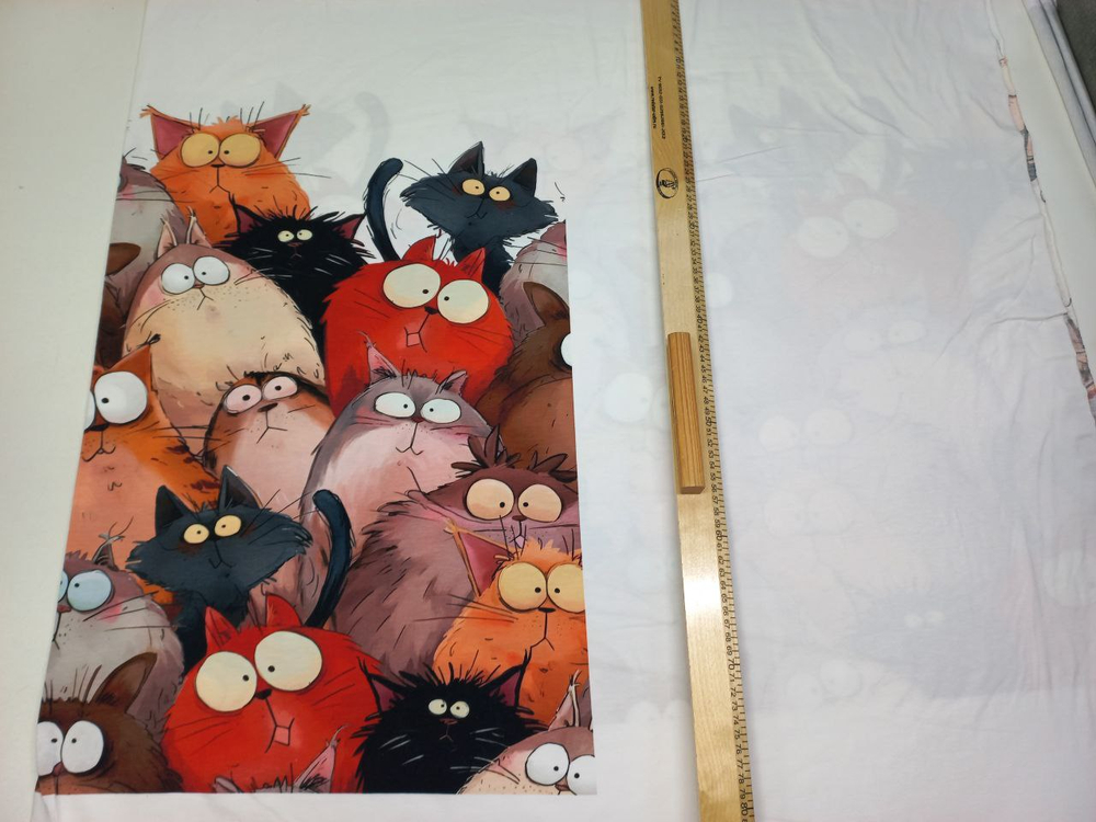 Кулирка Купон Пучеглазые Котики