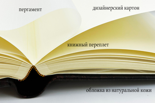 Фотоальбом из натуральной кожи "Аллигатор" 17*23