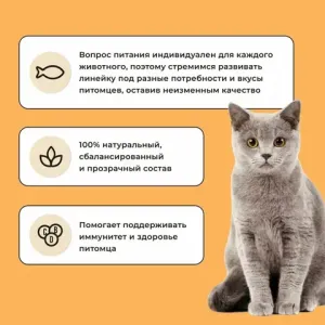 Уценка! Повр.упак./ Сухой корм BOWL WOW для кошек с чувствительным пищеварением с индейкой, курицей и тыквой