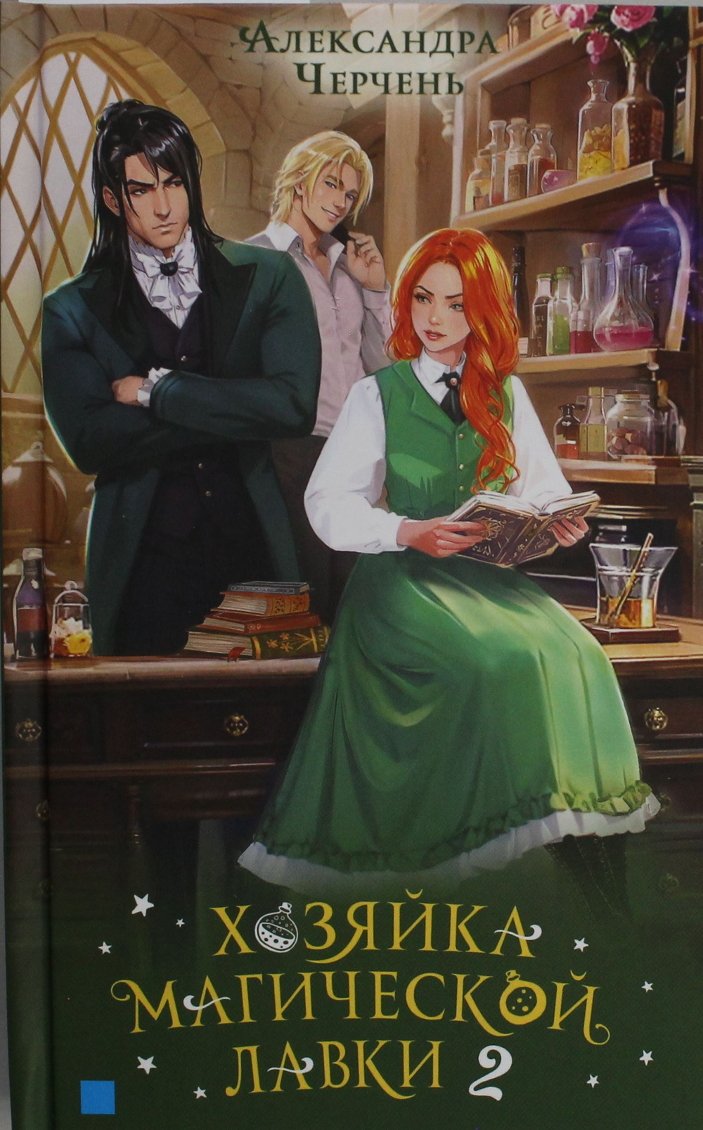 Хозяйка магической лавки. Книга 2