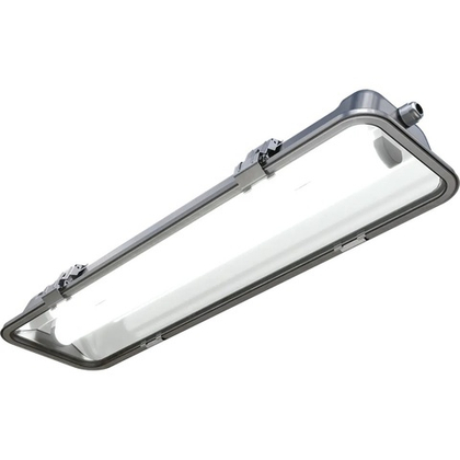 Светильник LED INOX LED 30 5000K СТ