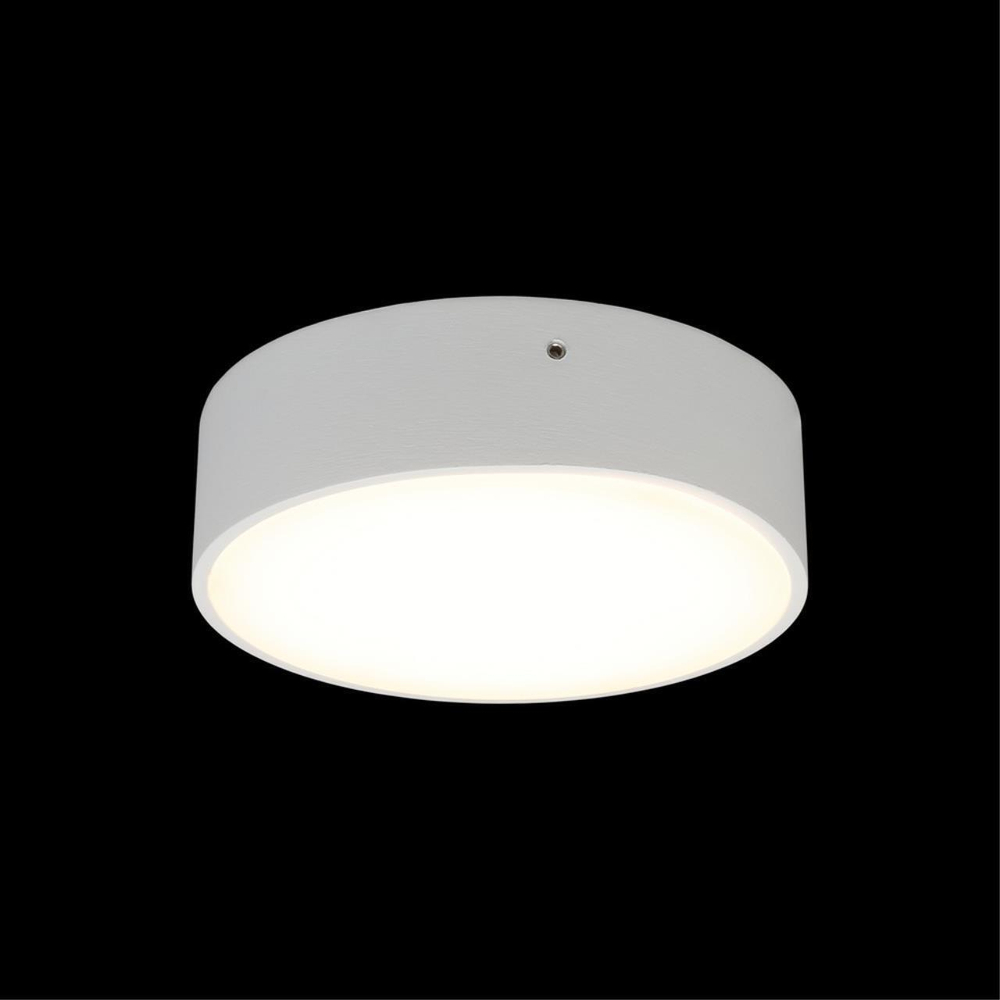 Потолочный светодиодный светильник Aployt Evon APL.0113.09.12