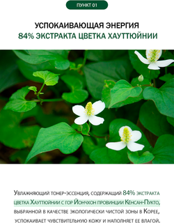 Успокаивающая сыворотка для лица с экстрактом цветка хауттюйнии DERMA FACTORY Houttuynia Cordata 89% Serum 50мл