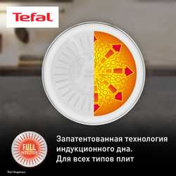 Набор посуды со съемной ручкой 13 предметов Tefal Ingenio Emotion L896SD04