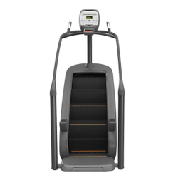 Тренажер-лестница ANYFIT AI-3 (Led display)