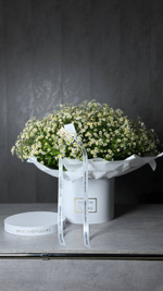 Ромашковое поле