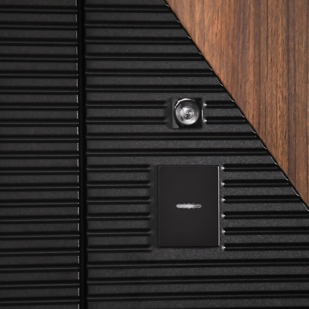 Стальная дверь "Берилл" с зеркалом (биометрический замок DZ 888). Заказная модель.