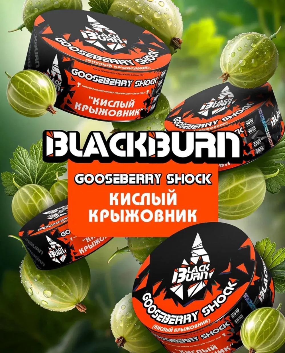 BlackBurn 25гр. Gooseberry Shock (Кислый крыжовник) (М)