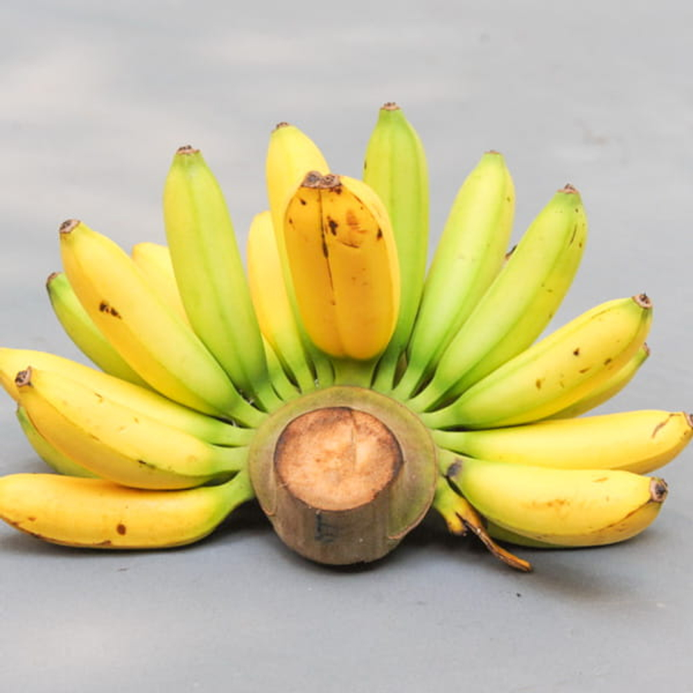 Банан Pisang Papan (27)
