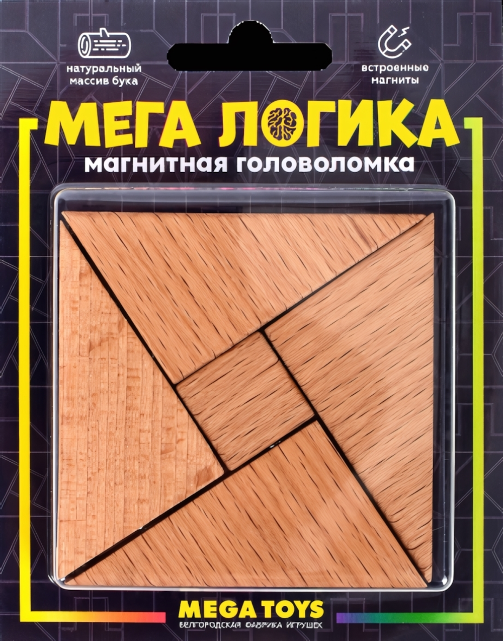 Магнитная головоломка по системе раннего развития Никитина 15952 (Лидер)