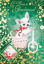 Открытка "С Днем рождения!" 12*18 см. диз.5 (Сфера)